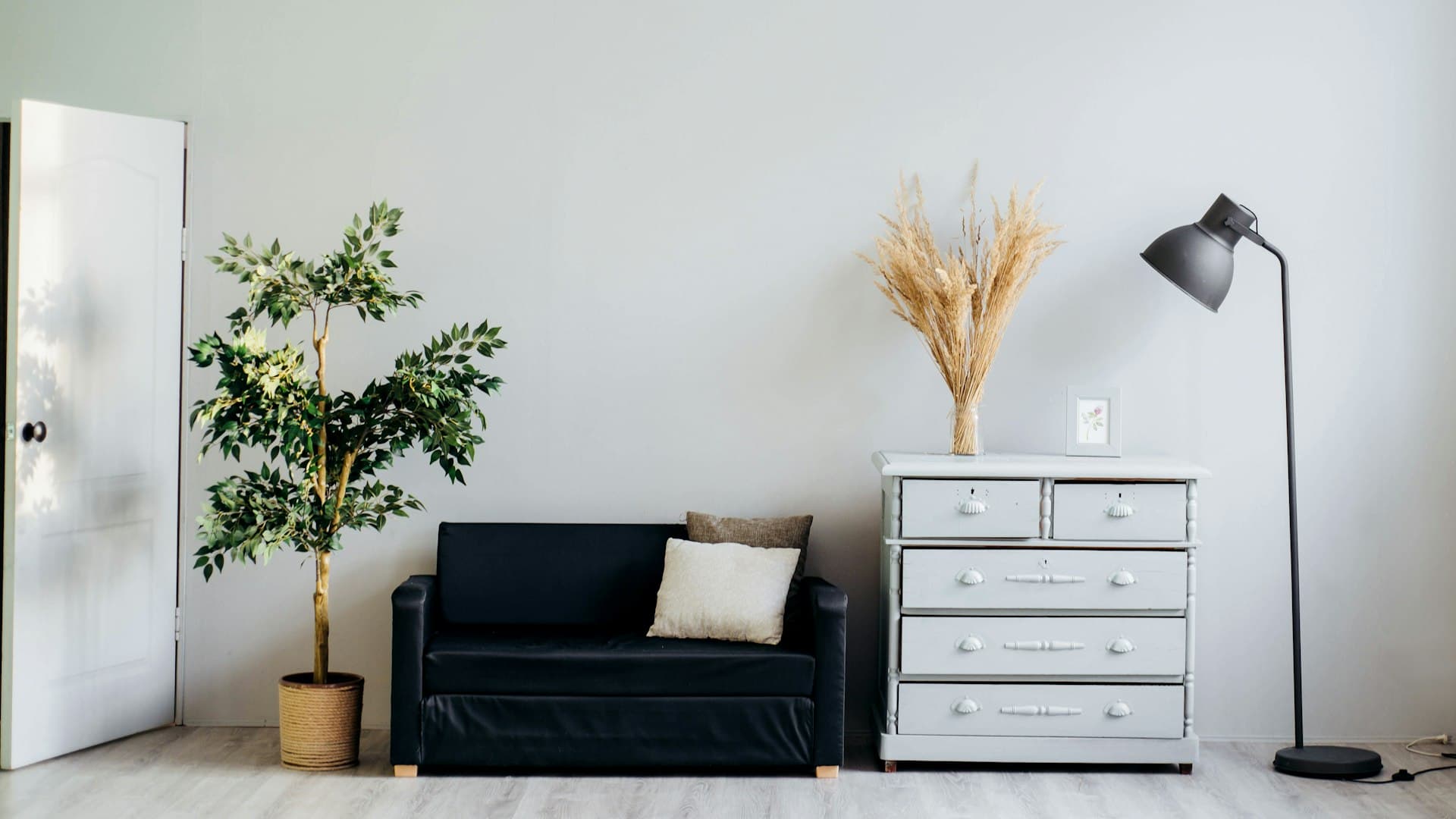 A sitting room in soft daylight: a dark sofa, a pale chest of drawers, a floor lamp and two plants against a bare wall.